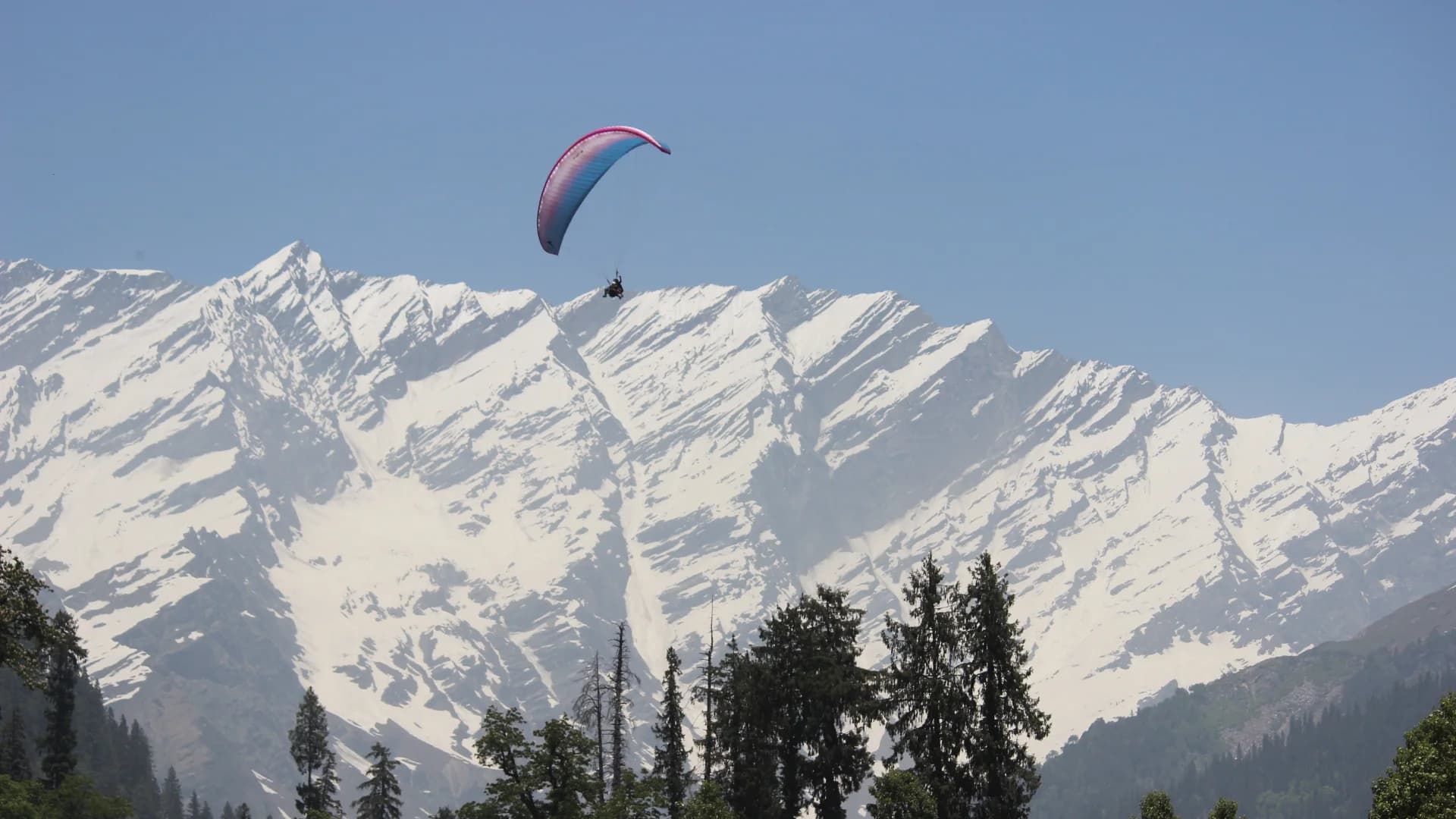A paraglider above snow-covered mountains and deodar trees at Solang Valley